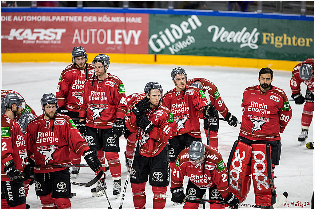 DEL, Koelner Haie - Grizzlys Wolfsburg, 21.03.2017